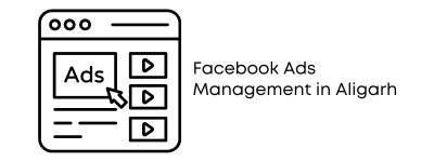 Facebook Ads Management in Aligarh