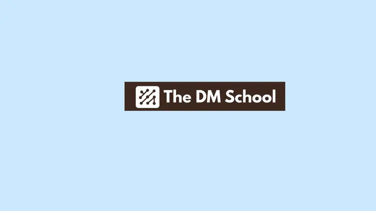 The DM School – Facebook Ads Agency in India